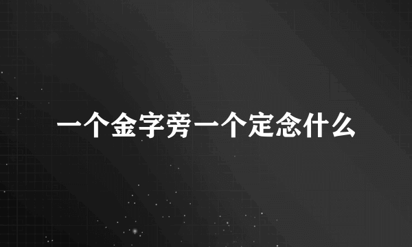 一个金字旁一个定念什么