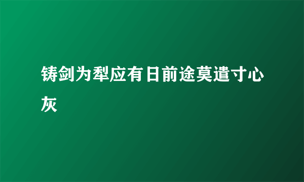 铸剑为犁应有日前途莫遣寸心灰