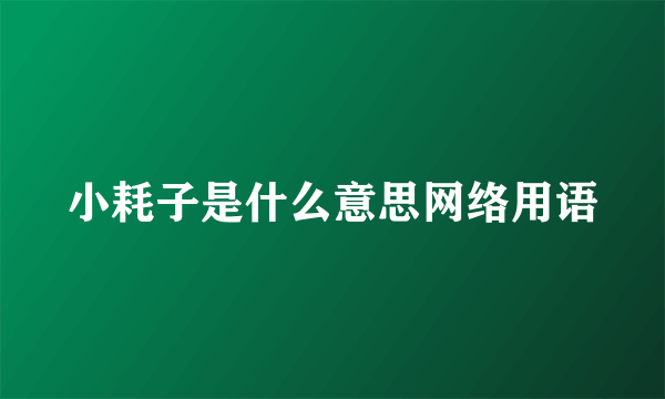 小耗子是什么意思网络用语