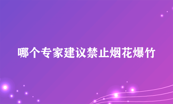 哪个专家建议禁止烟花爆竹