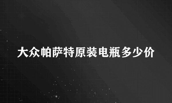 大众帕萨特原装电瓶多少价