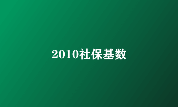 2010社保基数