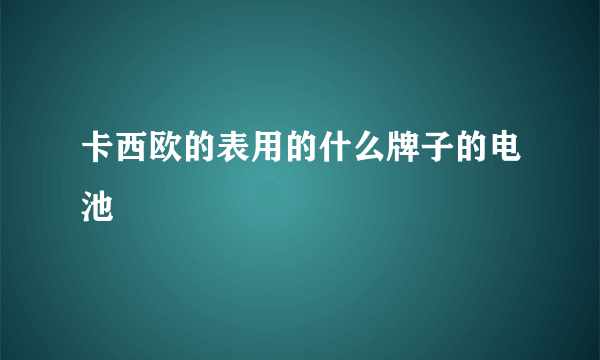 卡西欧的表用的什么牌子的电池