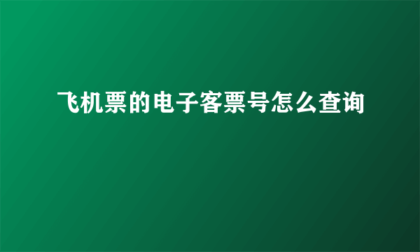 飞机票的电子客票号怎么查询