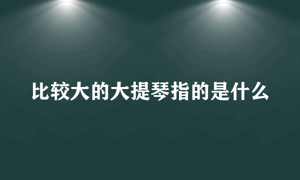 比较大的大提琴指的是什么