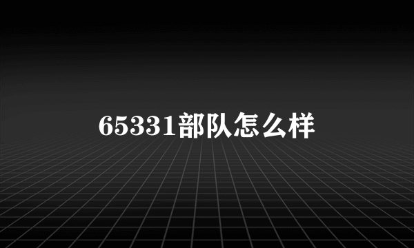 65331部队怎么样