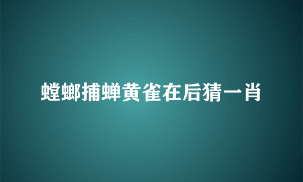 螳螂捕蝉黄雀在后猜一肖