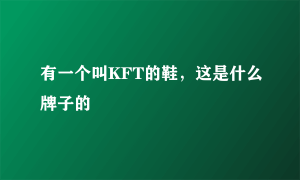 有一个叫KFT的鞋，这是什么牌子的