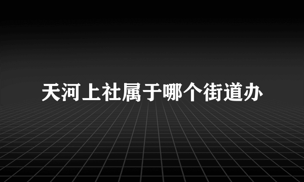 天河上社属于哪个街道办