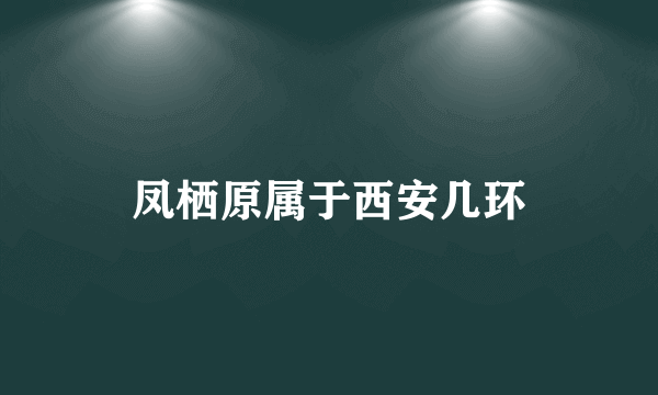 凤栖原属于西安几环