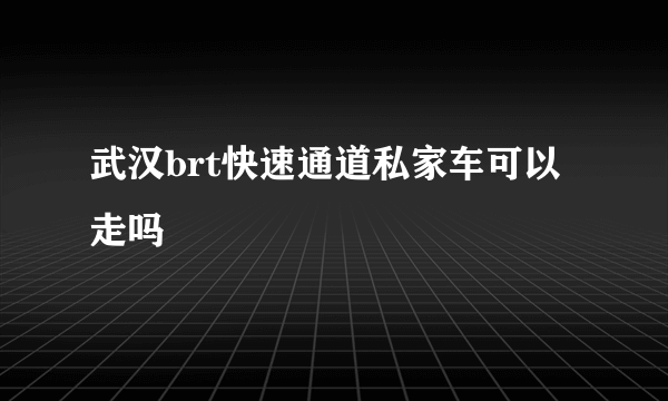 武汉brt快速通道私家车可以走吗