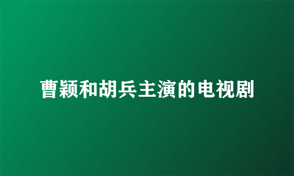 曹颖和胡兵主演的电视剧