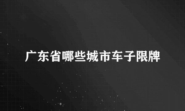 广东省哪些城市车子限牌