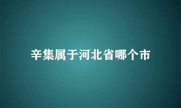 辛集属于河北省哪个市