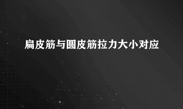 扁皮筋与圆皮筋拉力大小对应