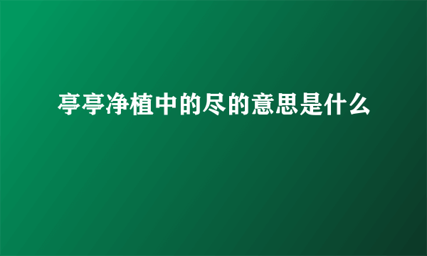 亭亭净植中的尽的意思是什么