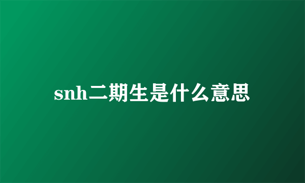 snh二期生是什么意思