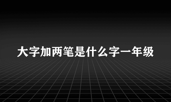 大字加两笔是什么字一年级