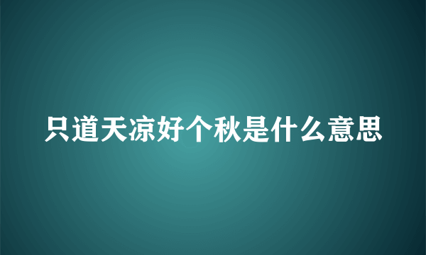 只道天凉好个秋是什么意思