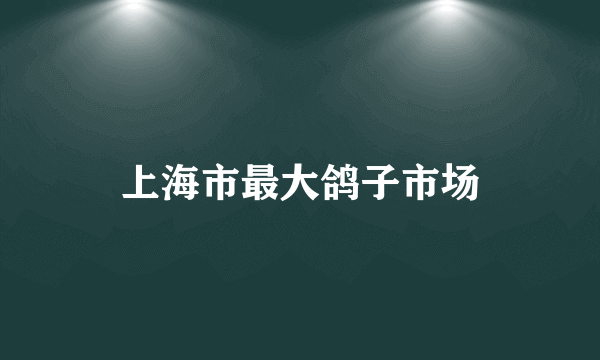 上海市最大鸽子市场