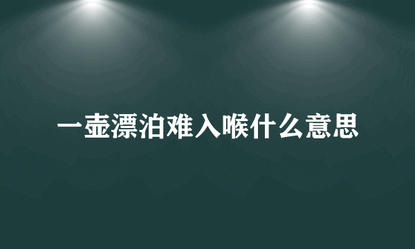 一壶漂泊难入喉什么意思