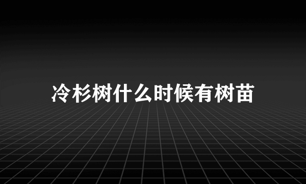 冷杉树什么时候有树苗