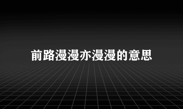 前路漫漫亦漫漫的意思