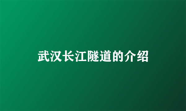 武汉长江隧道的介绍