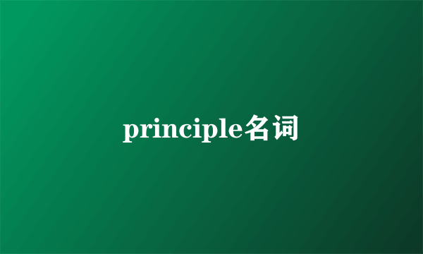 principle名词