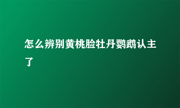 怎么辨别黄桃脸牡丹鹦鹉认主了