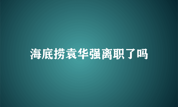 海底捞袁华强离职了吗