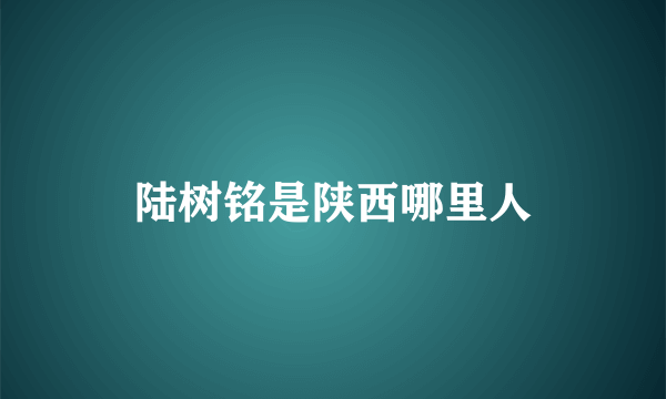 陆树铭是陕西哪里人