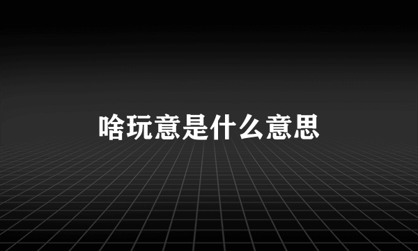 啥玩意是什么意思