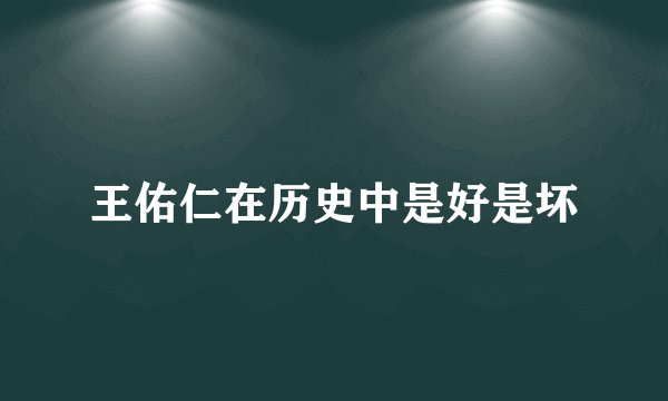 王佑仁在历史中是好是坏