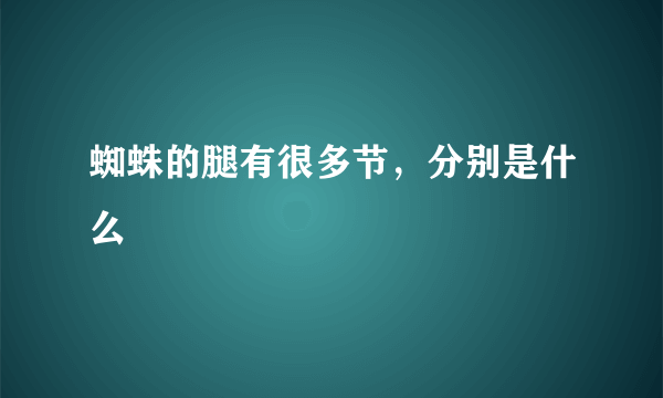 蜘蛛的腿有很多节，分别是什么