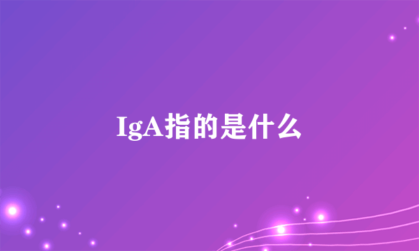 IgA指的是什么