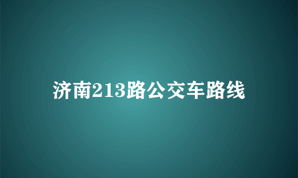 济南213路公交车路线