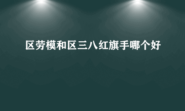 区劳模和区三八红旗手哪个好