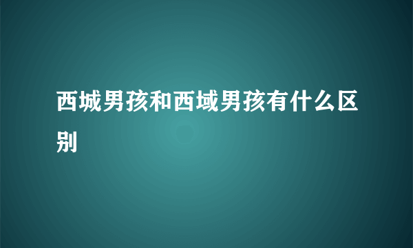 西城男孩和西域男孩有什么区别