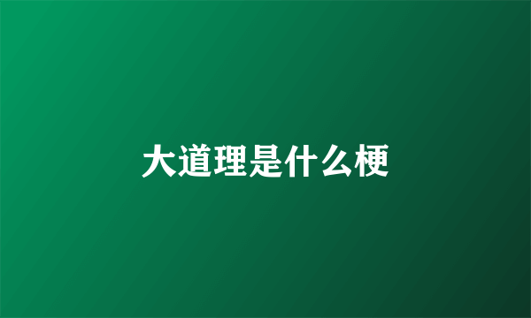 大道理是什么梗