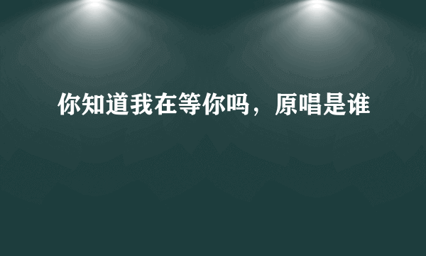 你知道我在等你吗，原唱是谁