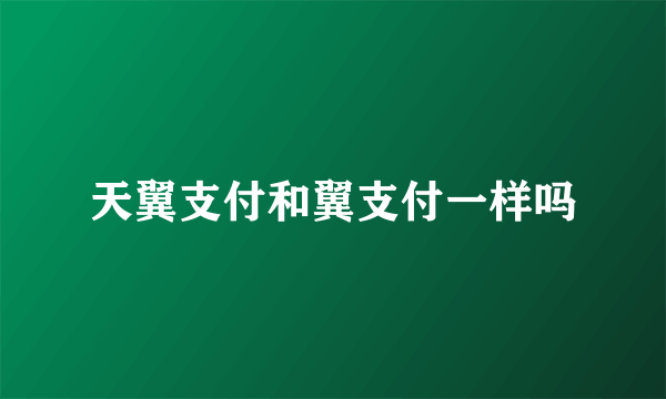 天翼支付和翼支付一样吗