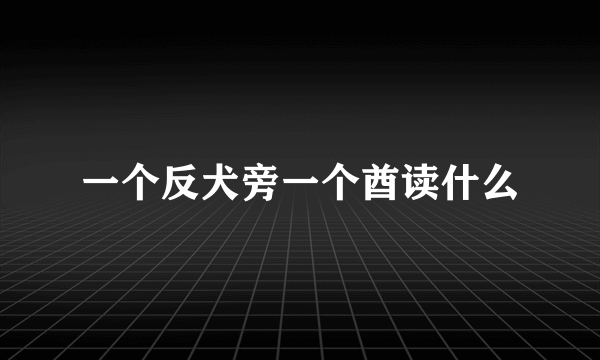 一个反犬旁一个酋读什么