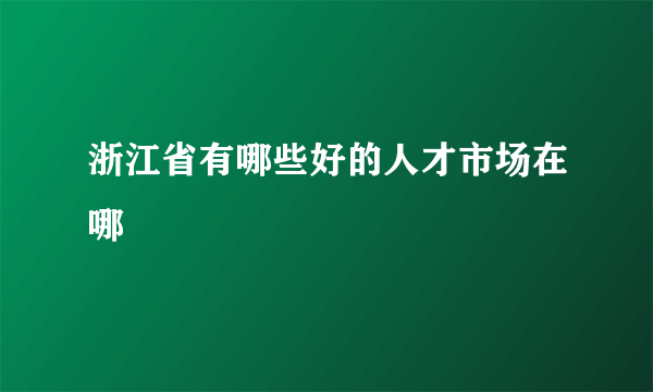 浙江省有哪些好的人才市场在哪