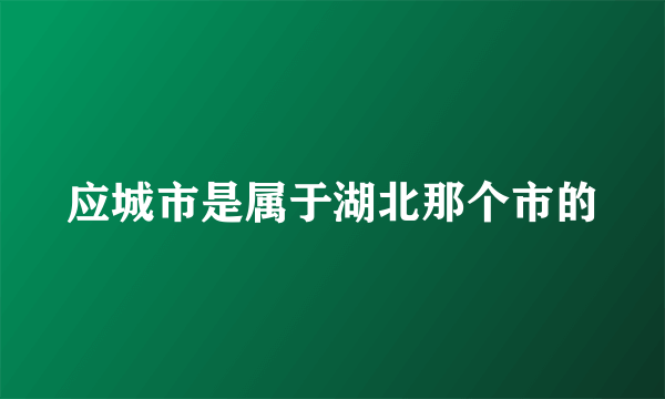 应城市是属于湖北那个市的