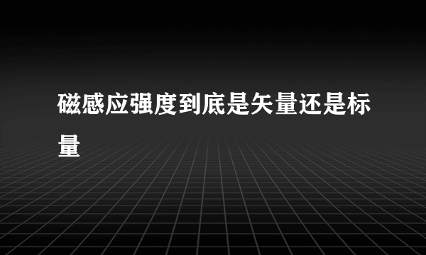 磁感应强度到底是矢量还是标量