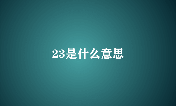 23是什么意思