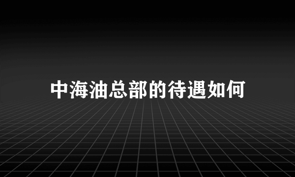 中海油总部的待遇如何