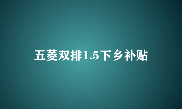 五菱双排1.5下乡补贴