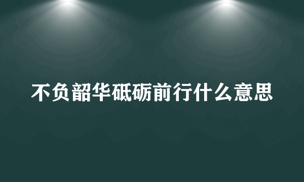 不负韶华砥砺前行什么意思